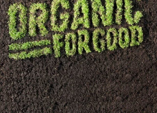 Is Organic Food better for you?