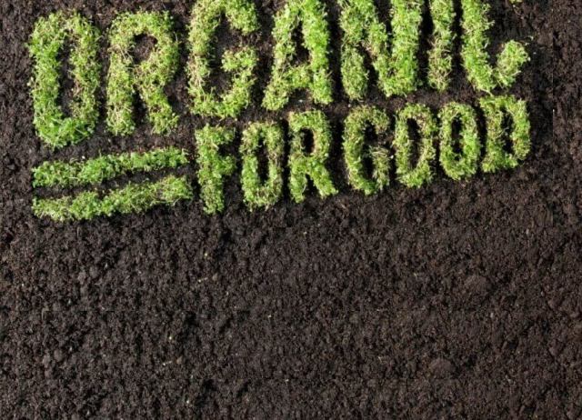 Organic Food