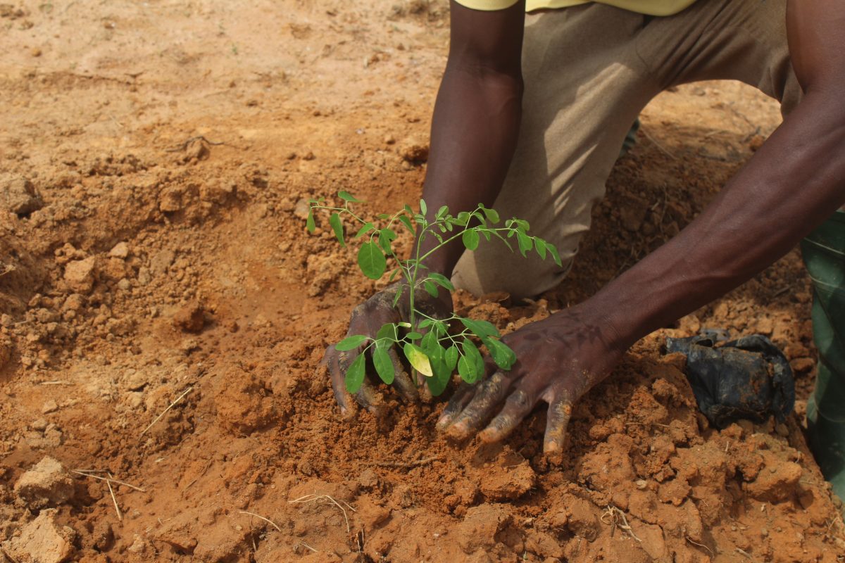 Climate Change & its effects on Agriculture in Africa.